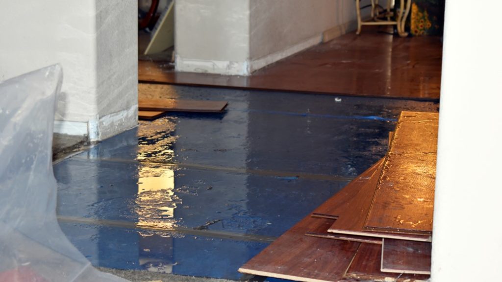 Water Damage Mitigation Services in Overland Park