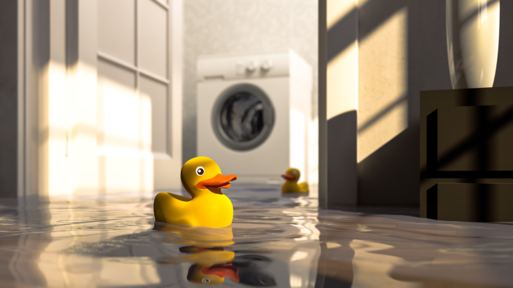 Flooded Basement Cleanup in Overland Park