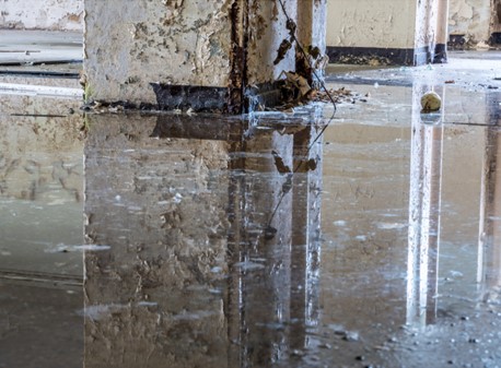 Water Damage Services in Overland Park