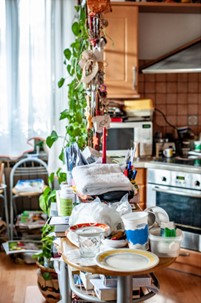 Hoarder Cleanup Services Near Shawnee