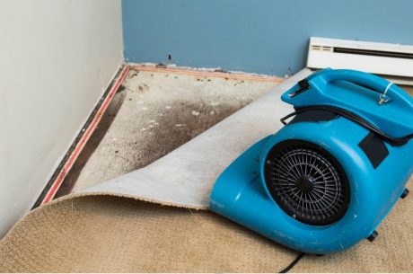 Water Damage Restoration in Overland Park