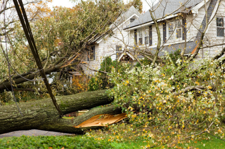 Top 5 Ways to Prevent Storm Damage to Your Home