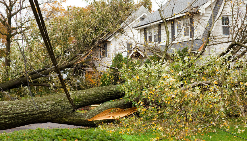 Top 5 Ways to Prevent Storm Damage to Your Home