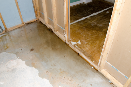 What to Do If You Find Water in Your Basement