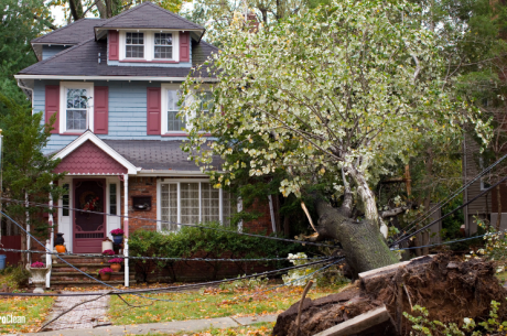 How to Prevent Storm Damage and What to Do If It Happens
