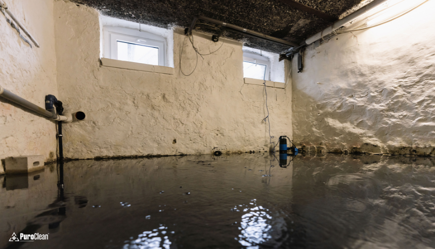 What To Do When You Find Water In The Basement