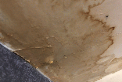 Water Damage Restoration in Leawood: Can Water Damage Look Like Termites?--It’s a weird one, right? You’re not even sure what you’re looking at.