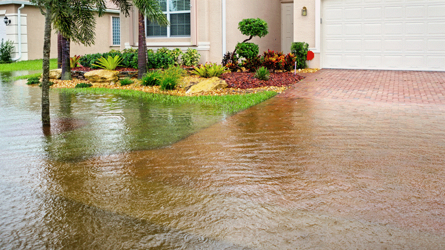 Flooded Basement Cleanup in Overland Park