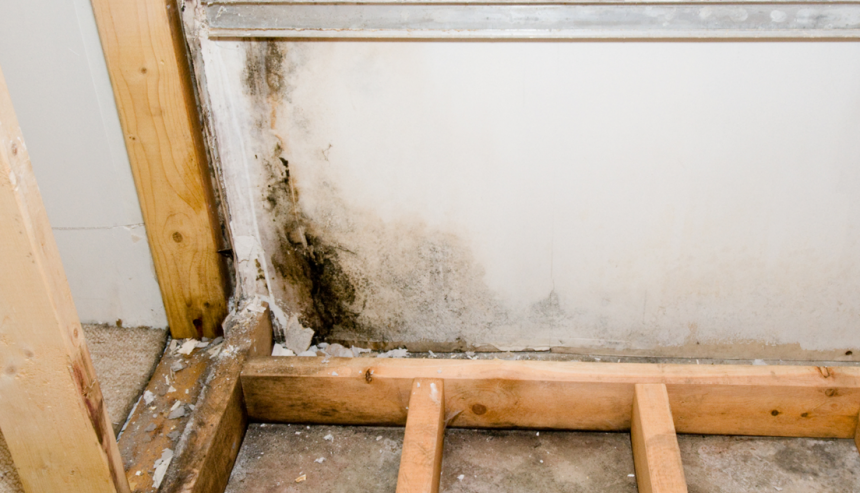 Overland Park Flooded Basement Restoration