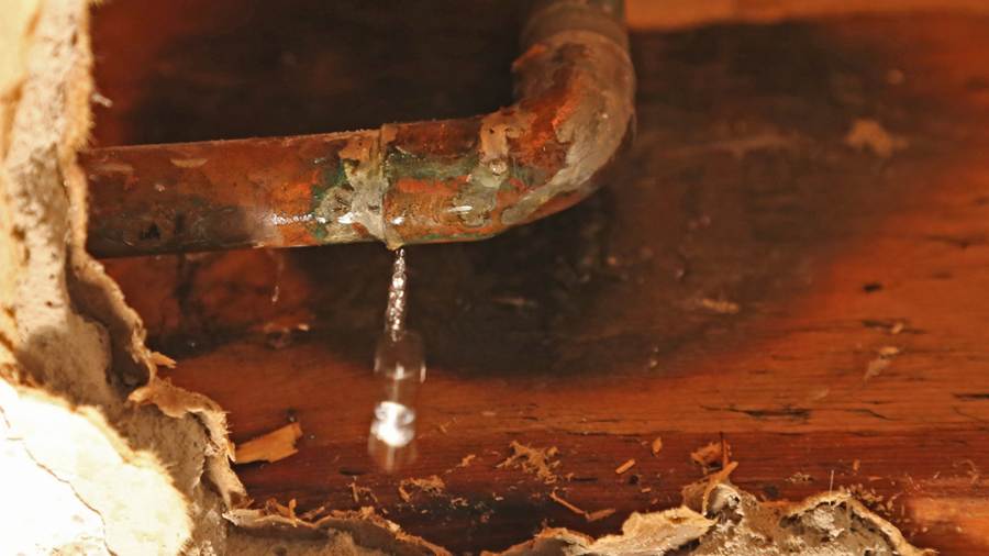 What Do Professional Water Damage Services Actually Do?