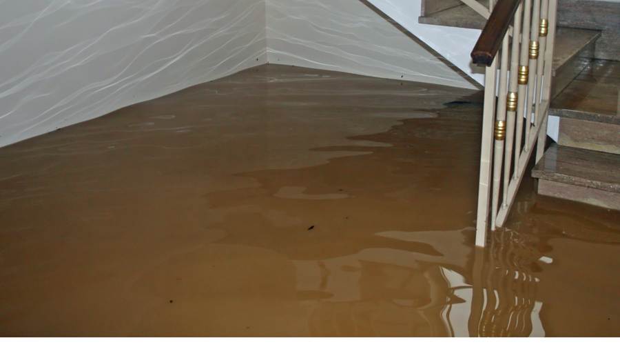 Here’s What We’ve Learned About Being True Water Damage Experts in Leawood