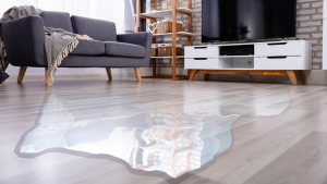 Water Damage Repair in Leawood