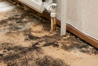 flooded basement cleanup in Leawood