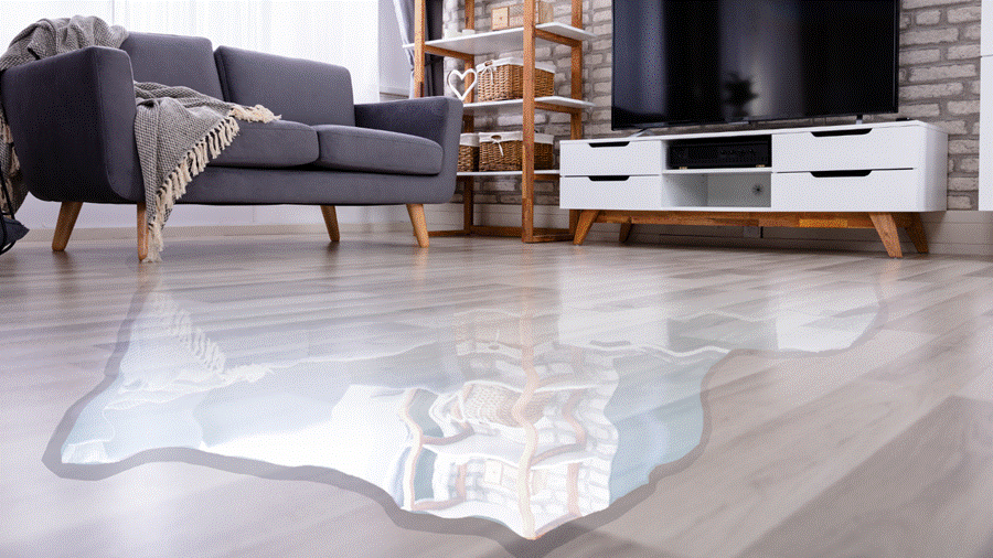 Overland Park Water Damage Repair Company