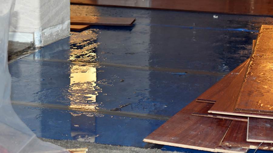 What Happens During Professional Water Damage Restoration?