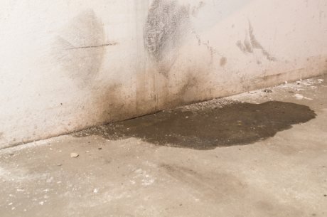 water damage repair in overland park