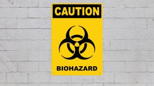 biohazard cleanup companies in Loch Lloyd