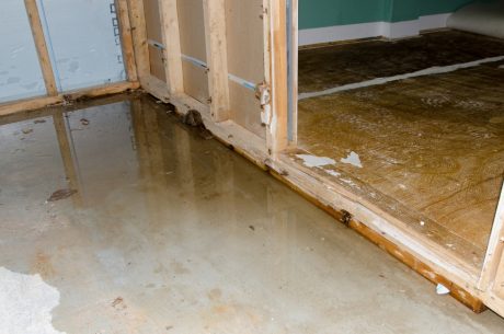 water damage services in Overland Park