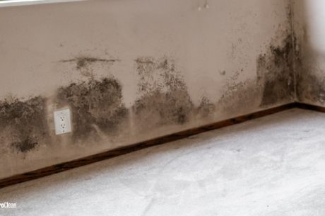 PuroClean of Olathe Winter Mold Problems In Homes