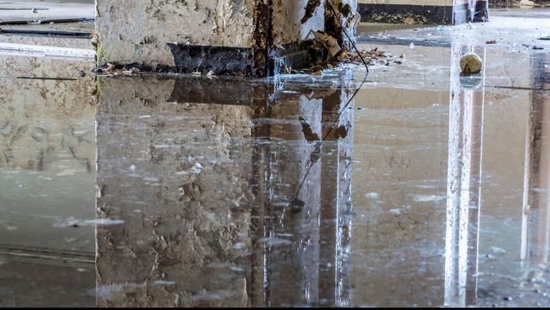 Water Damage Is Always More Than Just the Spot on the Wall – Here’s How We Know