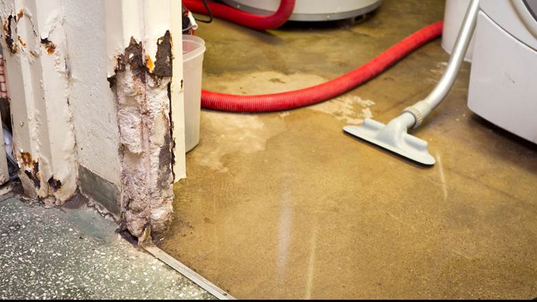 water damage service in Leawood
