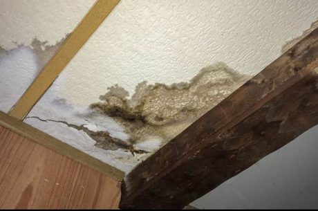 Water Damage Services in Overland Park