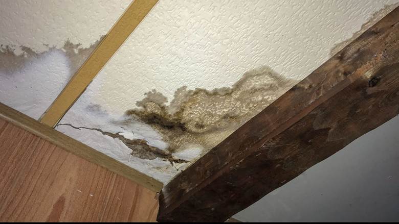 Water Damage Services in Overland Park