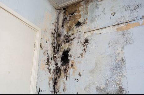 Overland Park Water Damage Mitigation Company