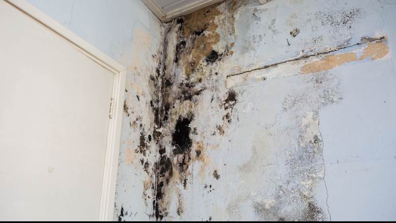 Overland Park Water Damage Repair Company