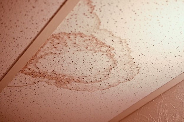 Water Damage Company in Leawood