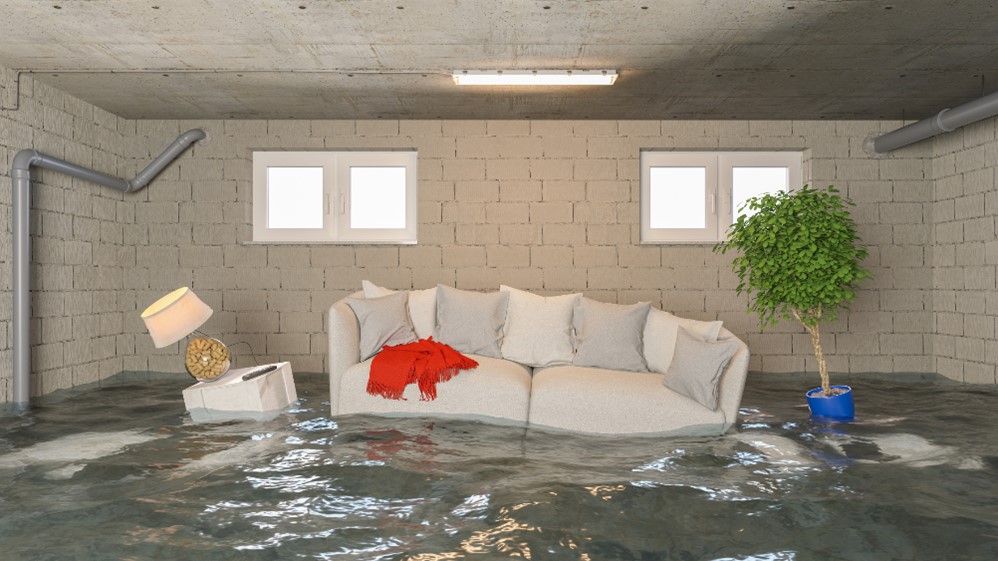 Water Damage Mitigation Services in Overland Park