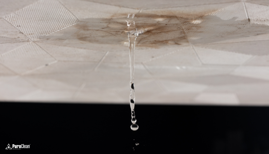 Preparing Your Home for Holiday Travel: Tips to Prevent Disaster