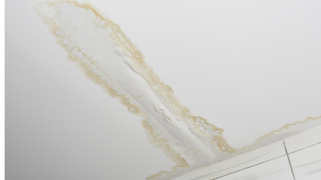 Water Damage in Overland Park