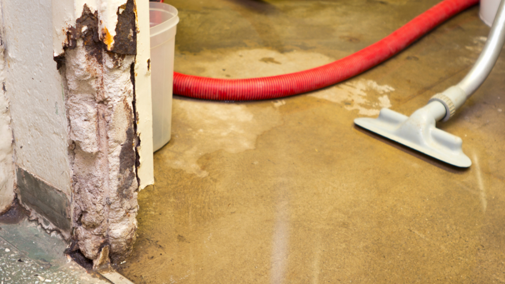 Water Restoration Companies in Leawood
