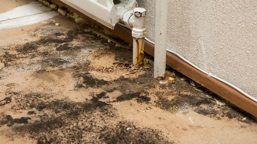 flooded basement cleanup in Leawood