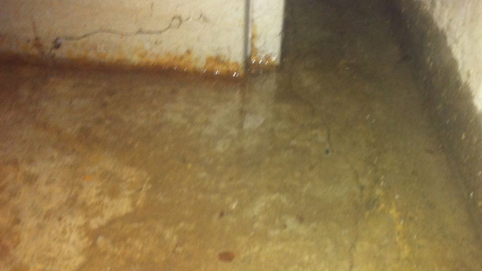 water damage mitigation in overland park