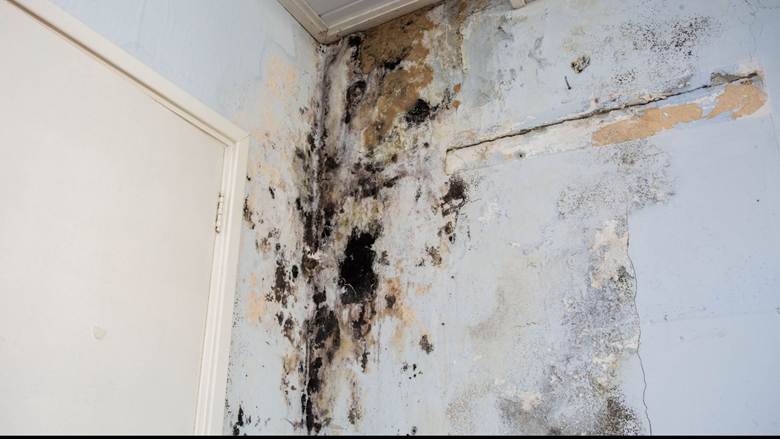 Overland Park Water Damage Mitigation Services