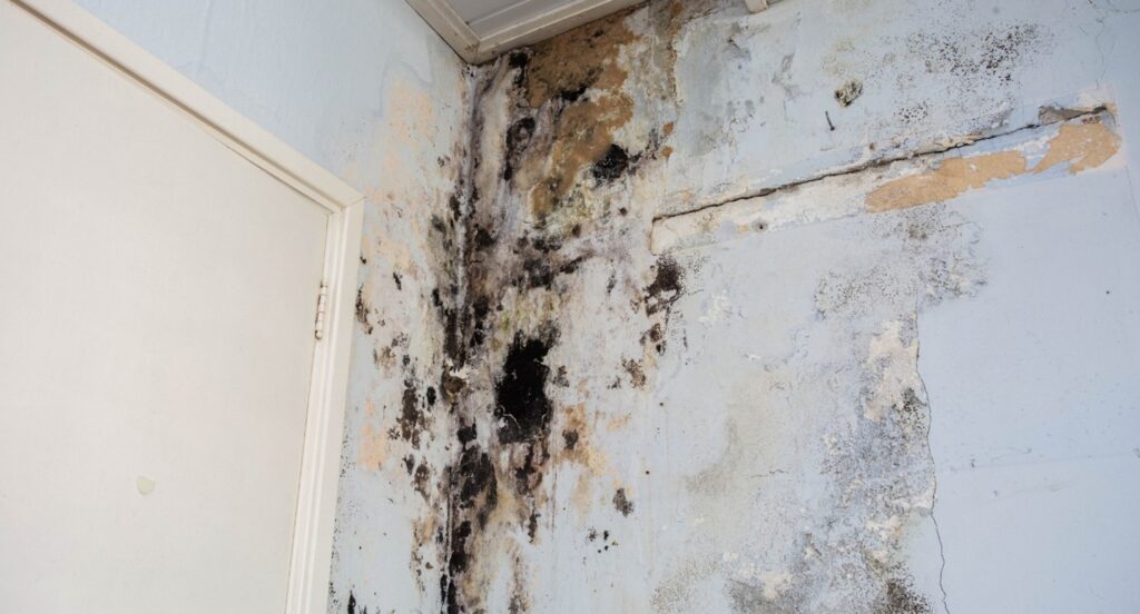 Water Damage Services in Leawood
