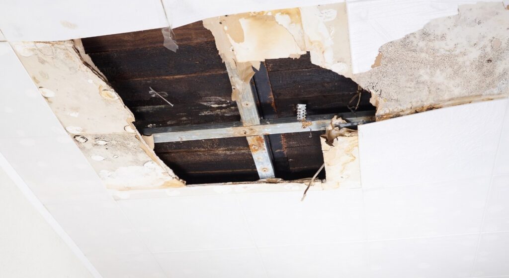 Water Damage Mitigation Services in Overland Park