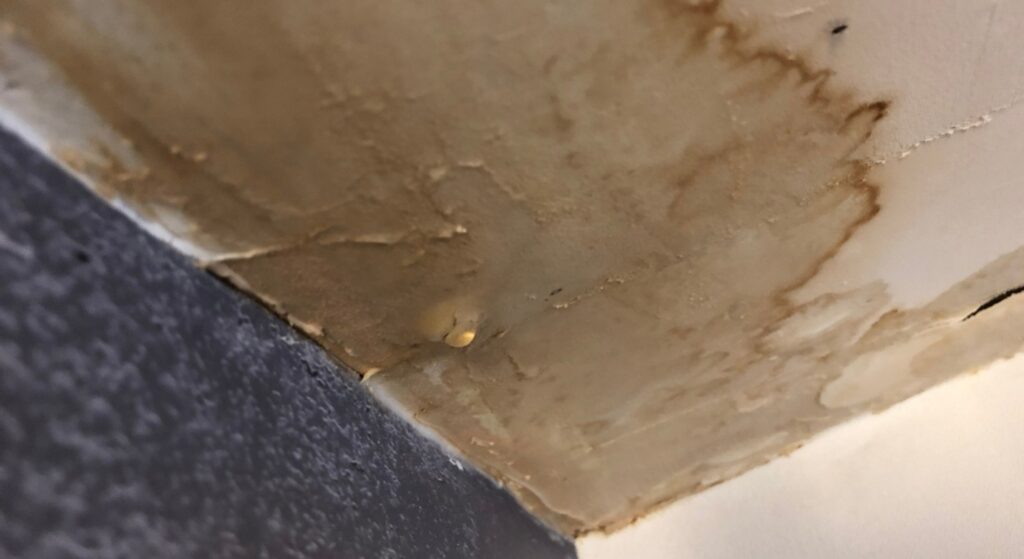 Overland Park water damage repair company