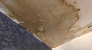 Overland Park water damage repair company