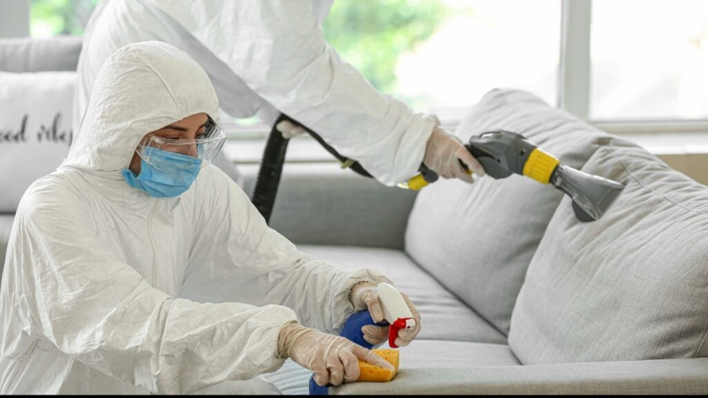 Trauma Cleanup in Loch Lloyd