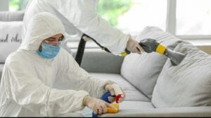 Trauma Cleanup in Loch Lloyd