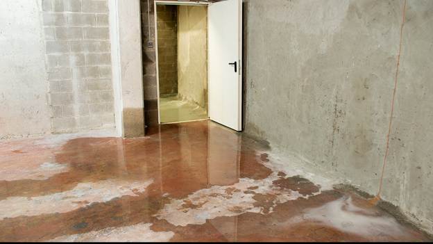 Water Damage Mitigation Services in Overland Park