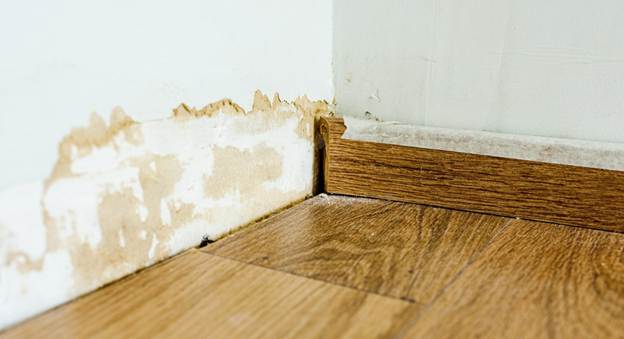 Overland Park Water Damage Experts