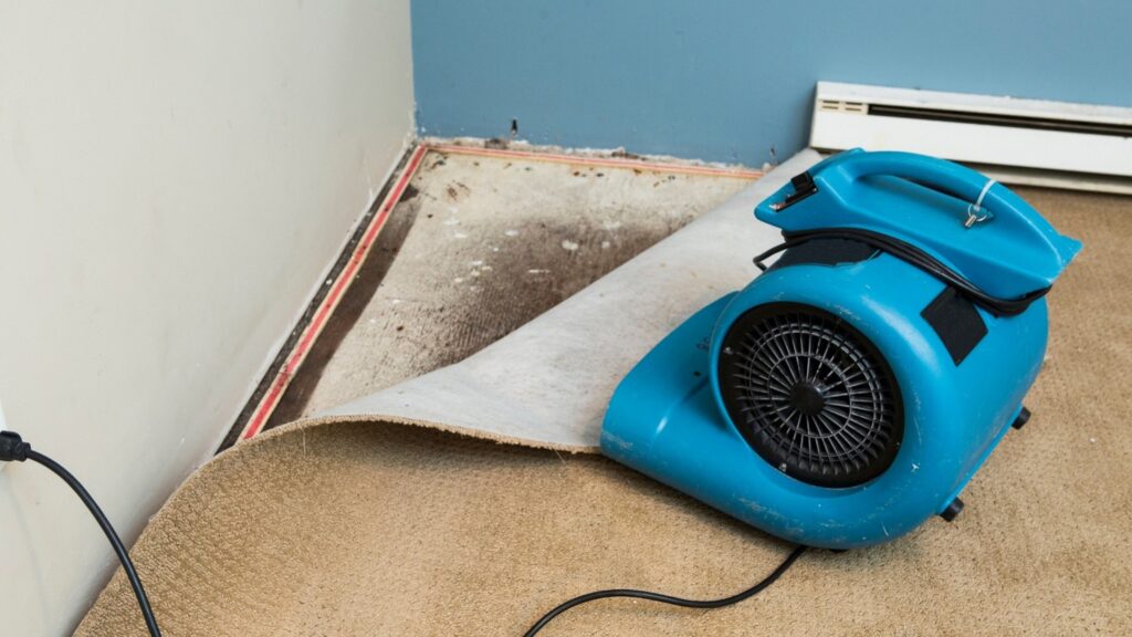 Water Damage Restoration in Leawood