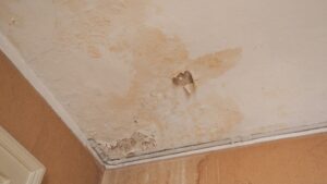 Overland Park Water Damage Companies