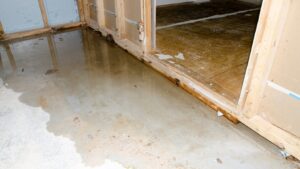 Emergency Water Damage Cleanup in Overland Park