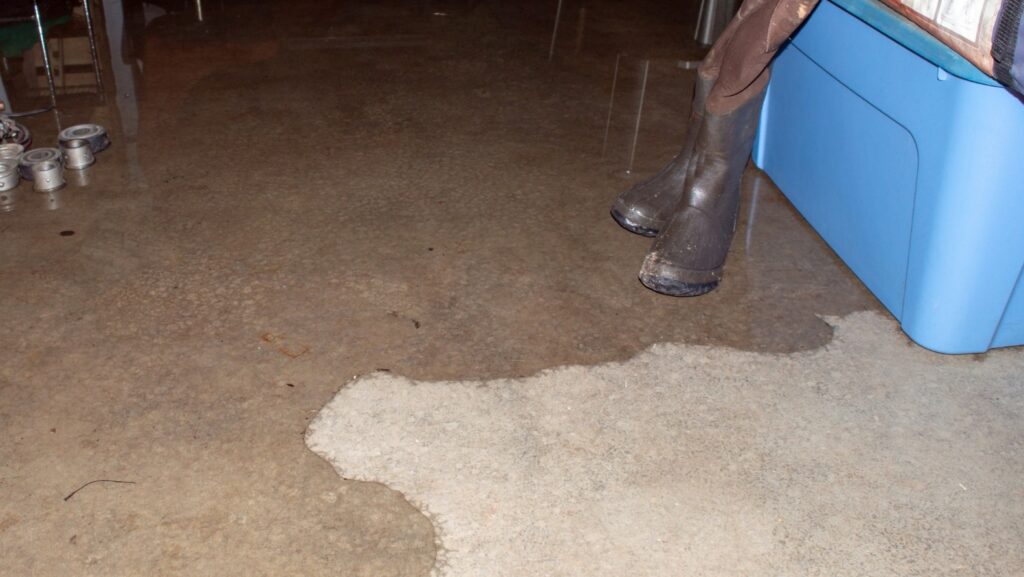 Flooded Basement Cleanup in Leawood