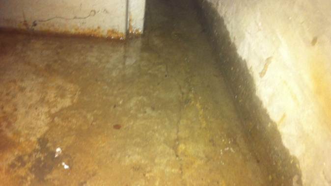 Flooded Basement Cleanup in Leawood